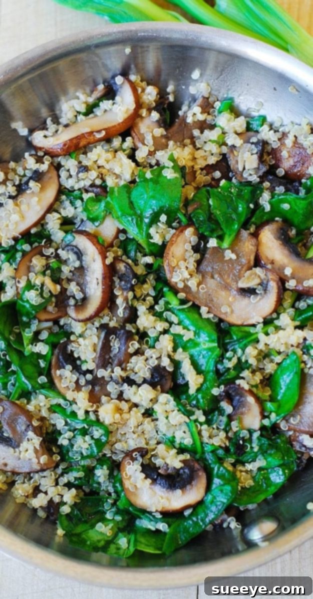 Quinoa Recipes - Spinach and Mushroom Quinoa - Easy Salads, Side Dishes and Healthy Recipe Ideas Made With Quinoa - Vegetable and Grain To Serve For Lunch, Dinner and Snack Quinoa Recipes - Spinach and Mushroom Quinoa - Easy Salads, Side Dishes and Healthy Recipe Ideas Made With Quinoa - Vegetable and Grain To Serve For Lunch, Dinner and Snack