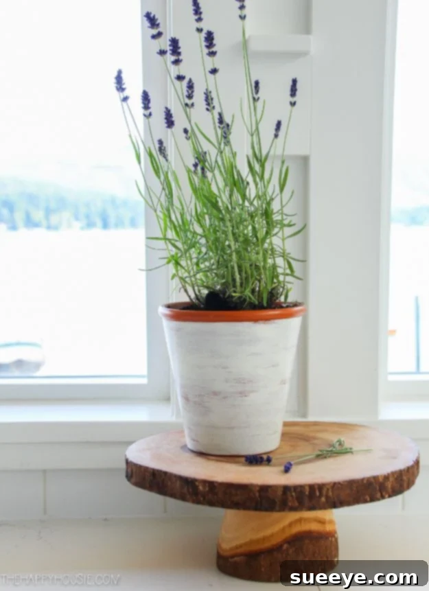 DIY Ideas for Clay Pots - DIY Glazed Clay Pots - Cute Gardening Projects Tutorials for Decorating Pots - Pretty Rustic and Farmhouse Planters for Cheap Home Decor DIY Glazed Clay Pots for Enhanced Durability and Beauty