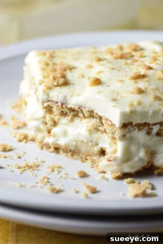 No Bake Desserts | No Bake Banana Cream Lush - Quick Dessert Ideas and Easy Sweets You Can Make Without Baking - Healthy Cookies and Pie Creamy No-Bake Banana Cream Lush, a layered dessert with fresh bananas, pudding, and whipped cream.