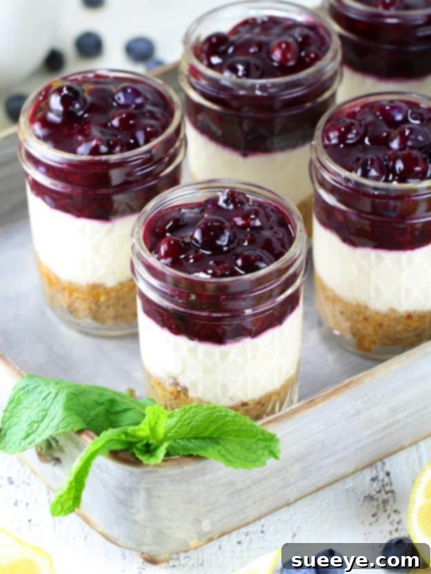 No Bake Desserts | Blueberry Lemon No Bake Cheesecake Jars | Mason Jar Desserts for Parties | Quick Dessert Ideas and Easy Sweets You Can Make Without Baking - Healthy Cookies and Pie Adorable Blueberry Lemon No-Bake Cheesecake Jars, ideal for portable, refreshing summer desserts and parties.