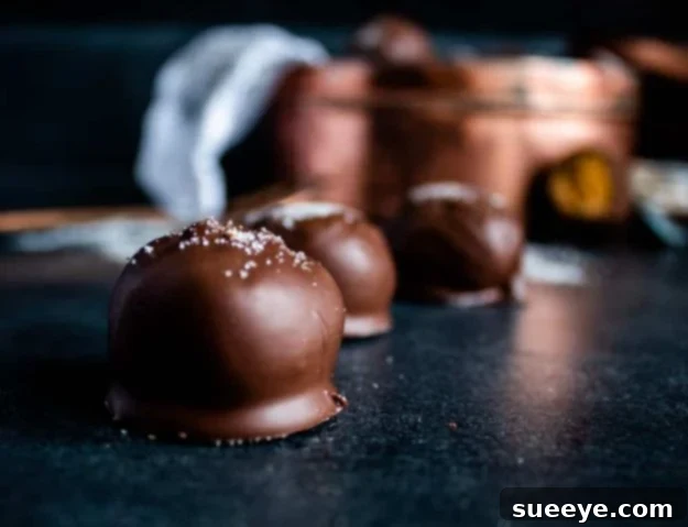 No Bake Desserts | Gingerbread Truffles with Spiced Sugar Topping - Quick Dessert Ideas and Easy Sweets You Can Make Without Baking - Healthy Cookies and Pie Festive Gingerbread Truffles with Spiced Sugar Topping, perfect for holiday gatherings.