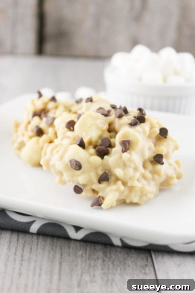 No Bake Desserts | No Bake Avalanche Cookies - Quick Dessert Ideas and Easy Sweets You Can Make Without Baking - Healthy Cookies and Pie Crunchy and sweet No-Bake Avalanche Cookies with peanut butter, chocolate, and marshmallows.