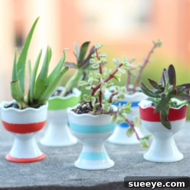 48 Creative DIY Easter Decor Projects 25 A modern Easter centerpiece featuring a variety of succulents and small decorative eggs.
