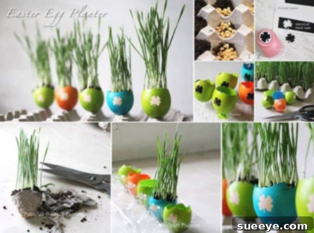 48 Creative DIY Easter Decor Projects 38 Small green plants growing in hollowed-out Easter eggshells, used as miniature planters.