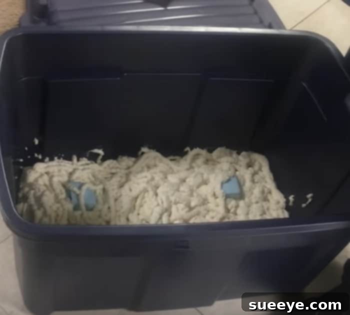 Crafting a Budget Yeti Cooler 2 DIY Yeti Cooler Project Overview - Initial setup of containers