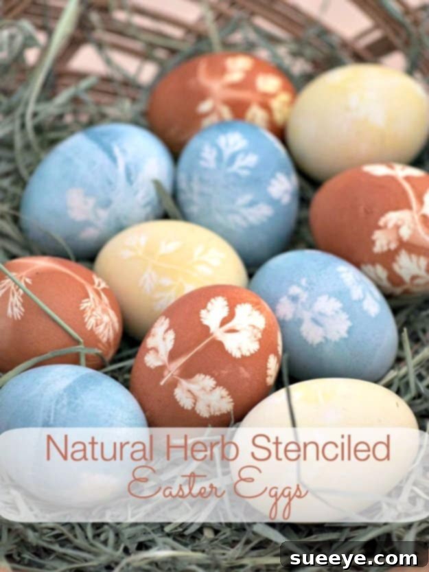 Easter eggs stenciled with natural herbs, showing delicate leaf patterns