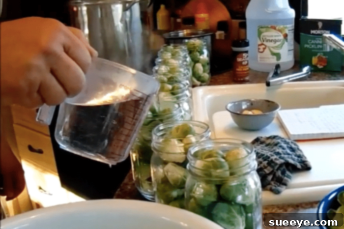 DIY pickled brussel sprouts DIY pickled brussel sprouts, showing hot brine being poured into a mason jar over sprouts and garlic