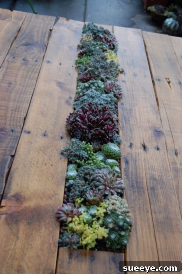 DIY Pallet Furniture Ideas - DIY Pallet Succulent Table - Best Do It Yourself Projects Made With Wooden Pallets - Indoor and Outdoor, Bedroom, Living Room, Patio. Coffee Table, Couch, Dining Tables, Shelves, Racks and Benches DIY Pallet Succulent Table - Unique Living Room Decor with Plants