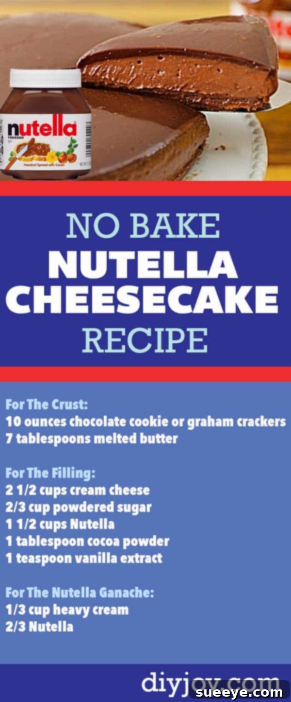 No Bake Chocolate Nutella Cheesecake Recipe with Video and Instructions for Making - Delicious Easy Dessert Idea