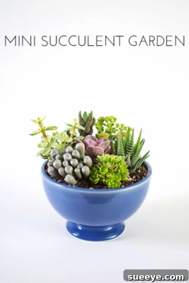 Creative DIY Mothers Day Gifts Ideas - Mini Succulent Garden - Thoughtful Homemade Gifts for Mom. Handmade Ideas from Daughter, Son, Kids, Teens or Baby - Unique, Easy, Cheap Do It Yourself Crafts To Make for Mothers Day, complete with tutorials and instructions #mothersday