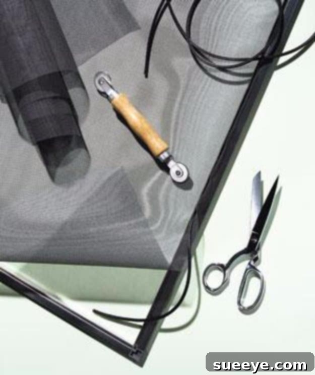 Repair Torn Window Screens for Pest Control and Fresh Air DIY Window Screen Replacement