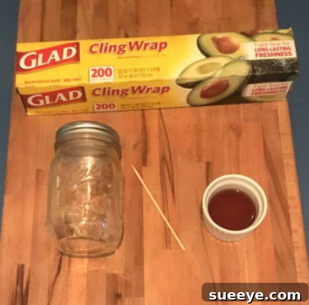 Banish Fruit Flies For Good 2 Gathering supplies for a DIY fruit fly trap: a mason jar, apple cider vinegar, cling wrap, and a toothpick. This natural method effectively removes kitchen pests.