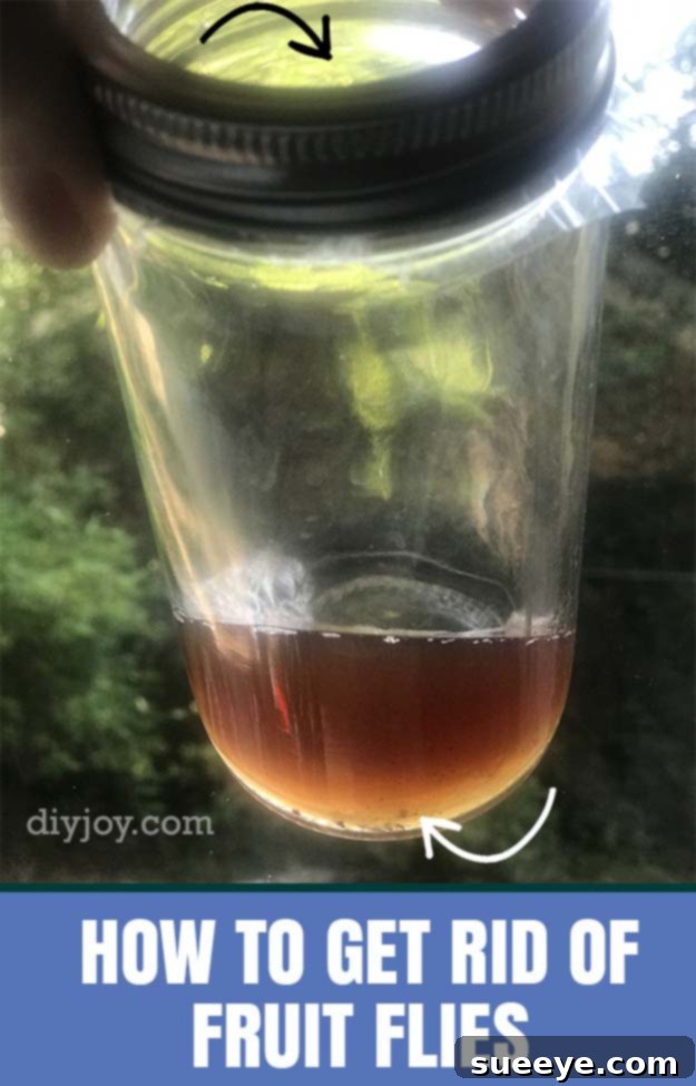 Banish Fruit Flies For Good 8 A vivid close-up showing a glass jar fruit fly trap, clearly demonstrating its effectiveness by containing numerous caught fruit flies inside the vinegar bait.