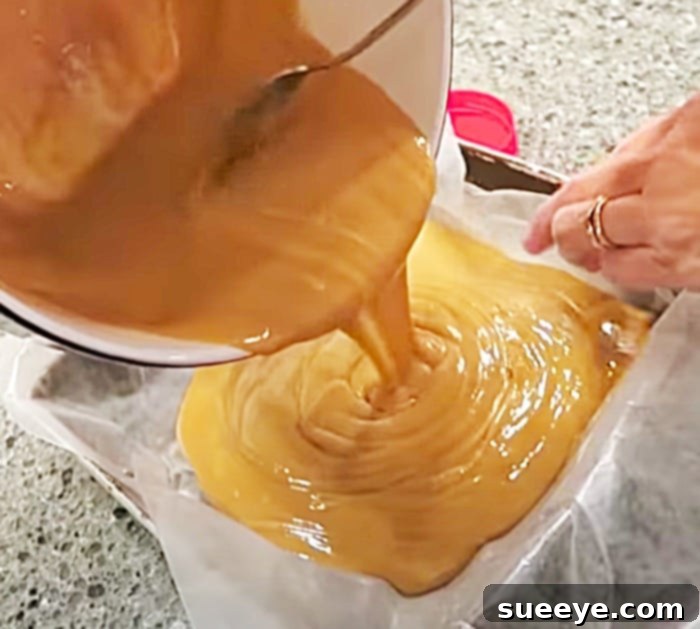 Just 2 Ingredients: Irresistible Peanut Butter Fudge 3 Holiday Fudge Ideas - Easy Candy Recipe - Christmas Candy