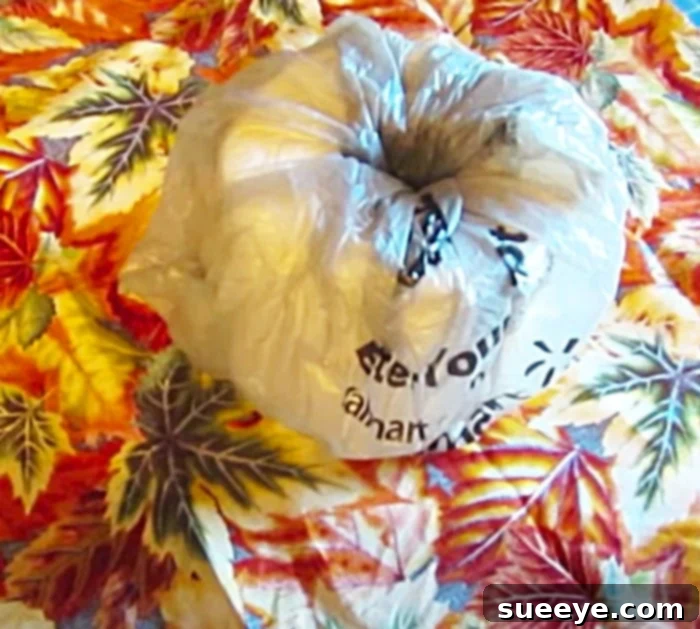 Craft a Festive Pumpkin Toilet Paper Cozy 2 Toilet Paper Craft Ideas - DIY Bathroom Decor - Fall Bathroom Decor