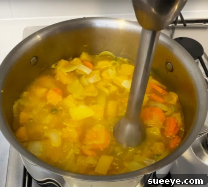 Velvety Pumpkin Soup 3 Use An Immersion Blender To Make Creamy Pumpkin Soup - Homemade Recipes