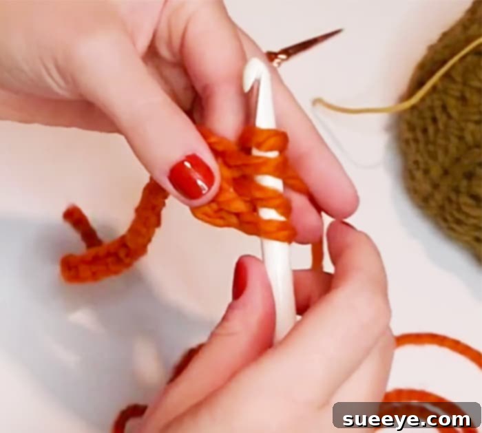 Charming Rustic Pumpkins to Crochet 2 DIY Rustic Pumpkins - DIY Fall Decor - Crochet Pumpkin
