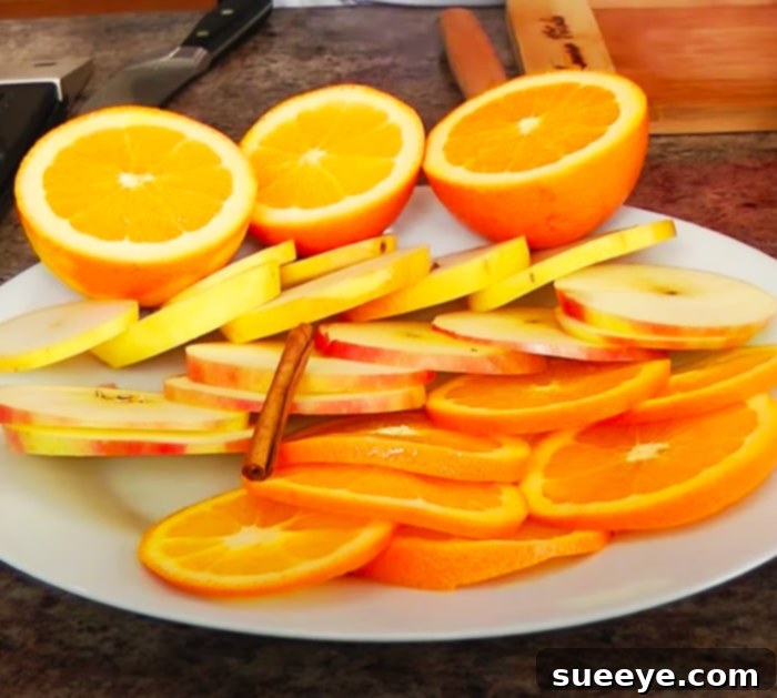Use Fresh Fruit To Make Sangria - Fall Alcohol Drinks