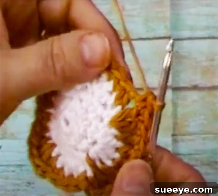 DIY Pumpkin Pie Hot Pad Crochet - Easy Crochet Crafts