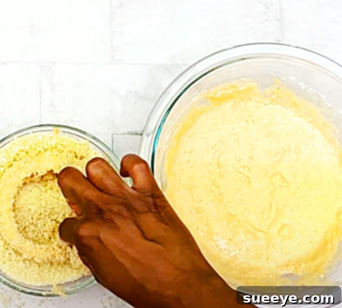 Crispy Air Fryer Onion Rings at Home 2 Homemade Onion Rings Recipe - Easy Onion Recipe - Side Dish Ideas