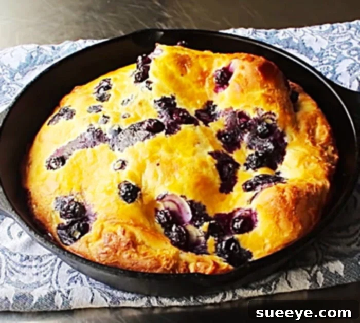 Puffy Blueberry Perfection 3 Golden-Brown Puffed Pancake Ideas - Breakfast Recipes - Meals Kids Love - Dutch Baby from Oven