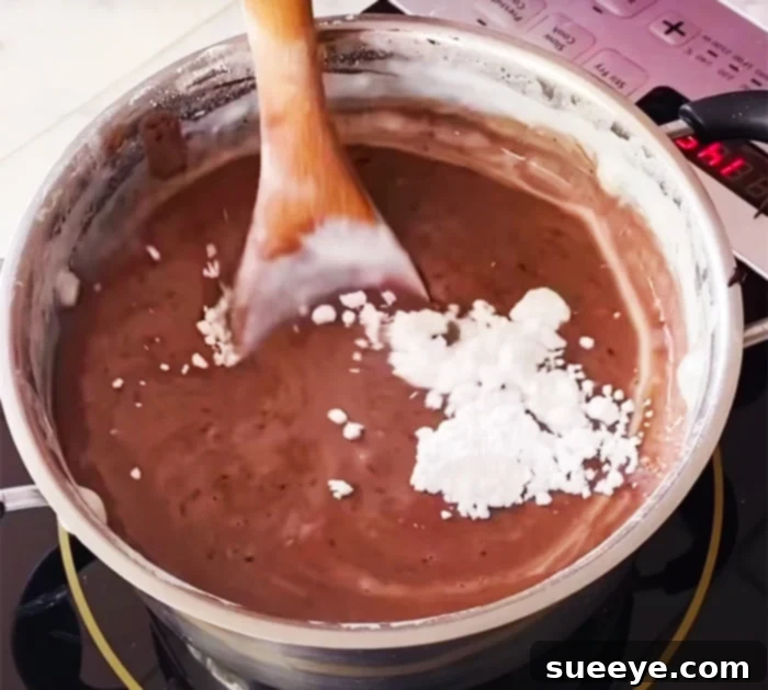 Decadent No-Bake Chocolate Biscuit Pudding 2 Use Chocolate Pudding For Banana Pudding - Banana Pudding Recipes