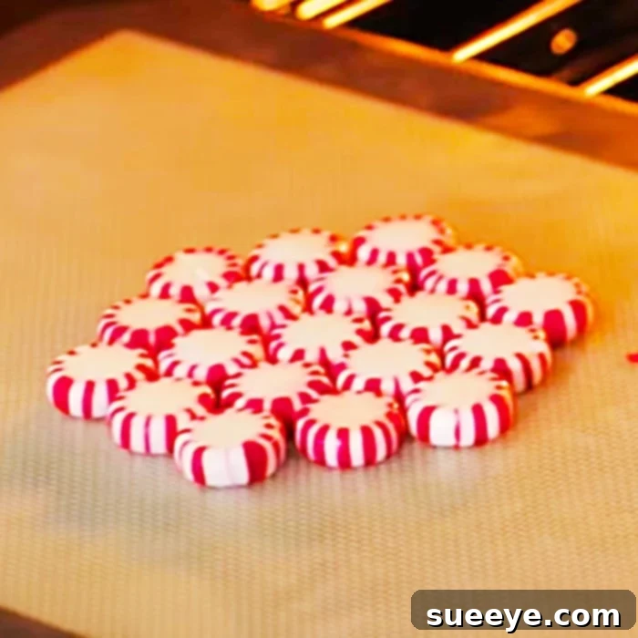 Crafting Peppermint Bowls 2 DIY Candy Bowls - DIY Peppermint Bowls - Dollar Tree DIY Candy Ideas