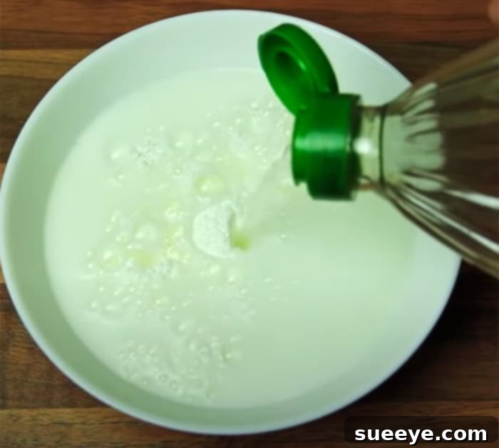 Quick Oven Dripping Removal In Under 5 Minutes 2 Use This Trick To Clean Your Oven In 5 Minutes - Easy and Quick Oven Hacks