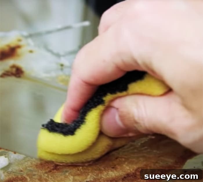 Quick Oven Dripping Removal In Under 5 Minutes 3 DIY Oven Drippings - Kitchen Cleaning Hacks - Cleaning Tips and Tricks