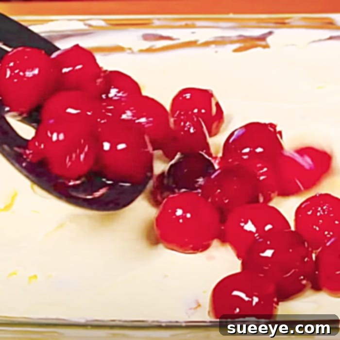 Dreamy No-Bake Cherry Cheesecake Delight 3 Easy Cheesecake Lasagna Recipe - Quick Dessert Ideas - Party Dessert Ideas