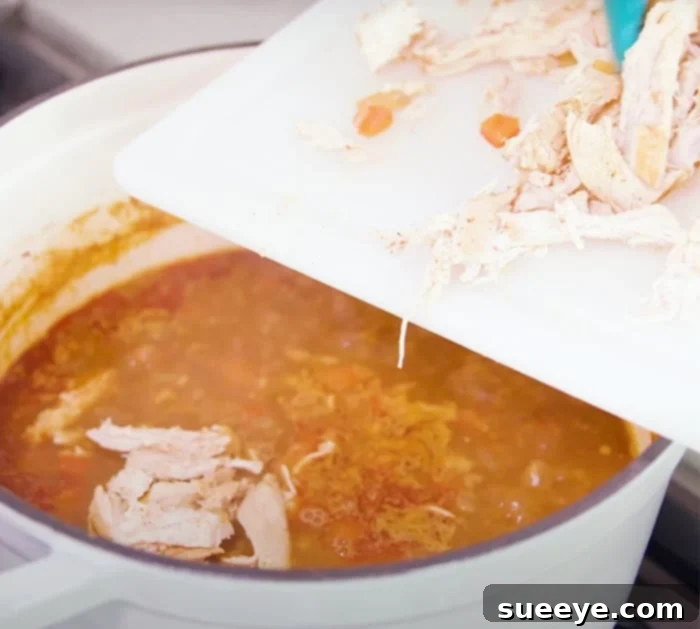 How To Make Chicken Tortilla Soup-Flour Tortilla Soup - One Pot Recipes