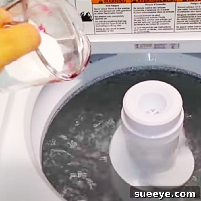 Deep Clean Your Top-Load Washer for Odor-Free Laundry 3 How To Clean With Baking Soda - Easy Natural Cleaning Ideas - DIY Deep Cleaning An Appliance