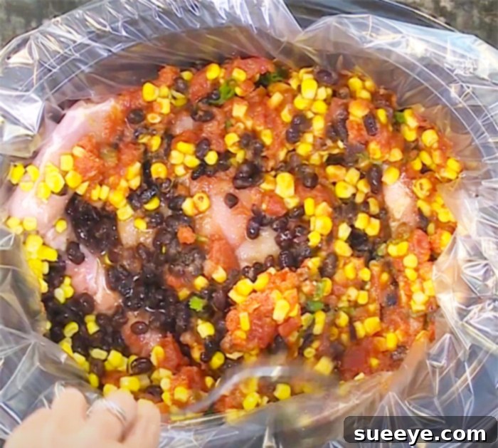 Effortless Fiesta Chicken Feast 2 Tender Fiesta Chicken cooking slowly in a crockpot, ready for shredding.