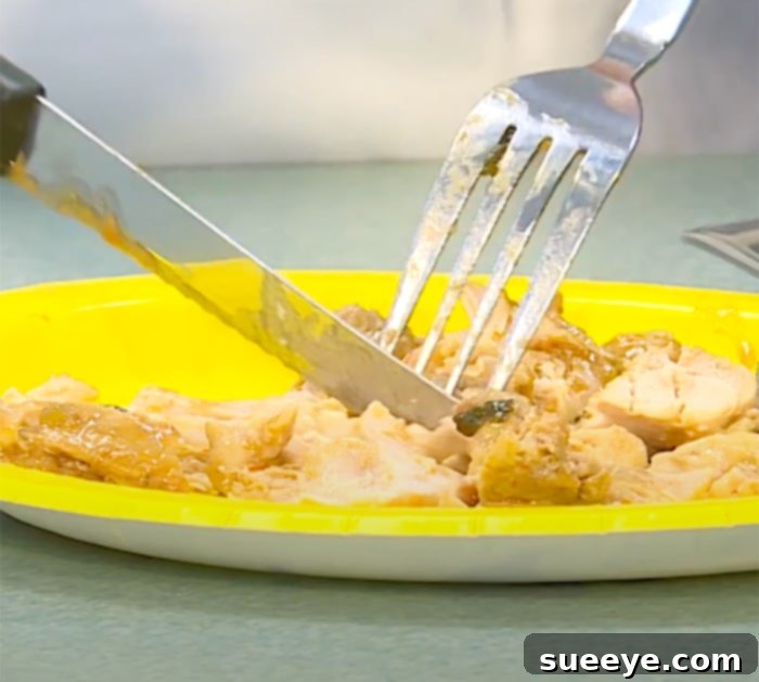Effortless Fiesta Chicken Feast 3 Shredded Crockpot Fiesta Chicken topped with melted cheese, ready to be served.