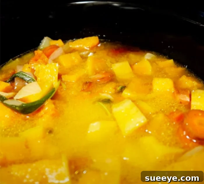 Velvety Crockpot Butternut Squash Soup 3 Panera Broccoli copycat recipe - Dinner Ideas - Fall Recipes