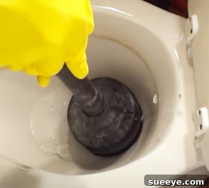 Banish Stubborn Toilet Stains 2 Use cleaning vinegar to remove hard stains - How To Clean a Toilet Bowl - Cleaning Tips and Tricks