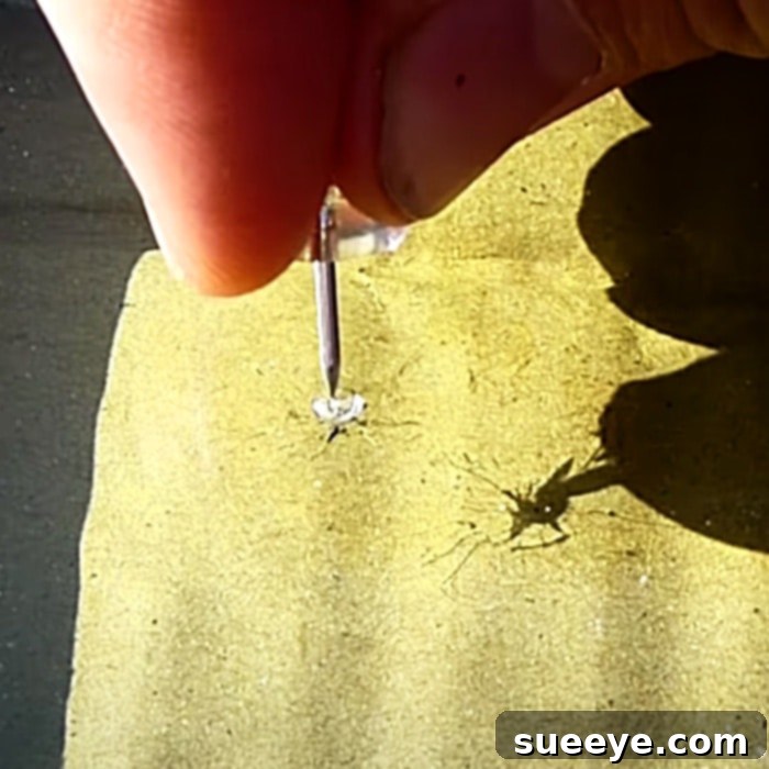 Don't Replace, Repair: Your Guide to Windshield Crack Fixing 2 How To Repair A Car Windshield - Easy Cracked Windshield Repair - Cracked Glass Repair