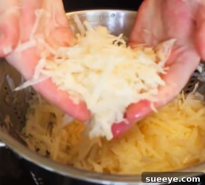 Classic Potato Pancakes Recipe - Pan fry Potatoes - Easy Shredded Potato Recipe