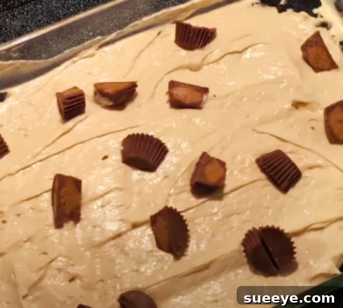 Decadent No-Bake Chocolate Peanut Butter Bars 3 Finished No-Bake Chocolate Peanut Butter Pudding Dessert with Toppings of Peanut Butter Cups and Crushed Oreos