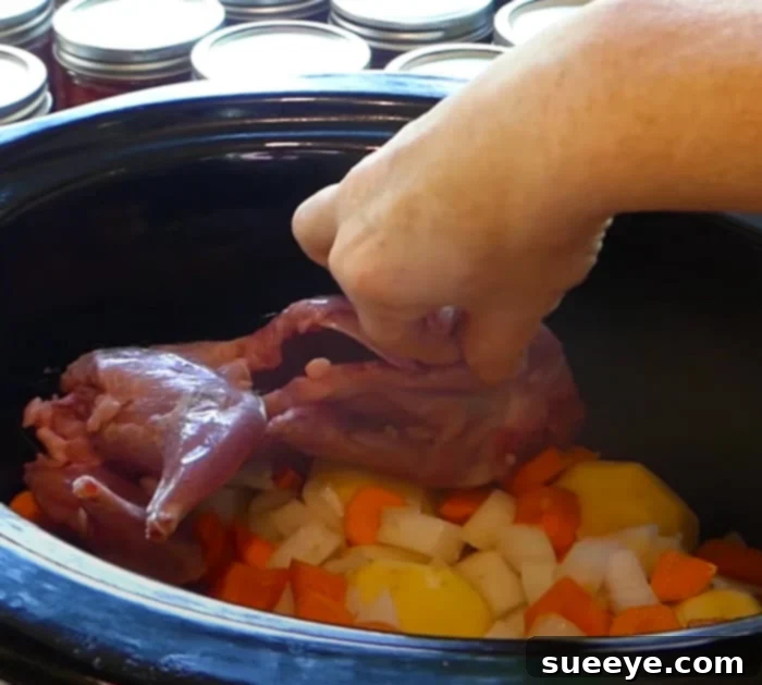 Hearty Slow Cooker Squirrel Stew 2 Crockpot Recipes - How To Make Squirrel Stew - Hunting Season - Squirrel Recipes