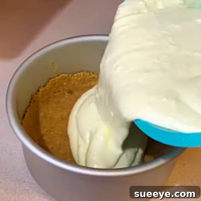 Perfect Instant Pot New York Cheesecake Instant Pot New York Cheesecake Recipe - How To Make New York Cheese cake - Instant Pot Cheesecake Recipe