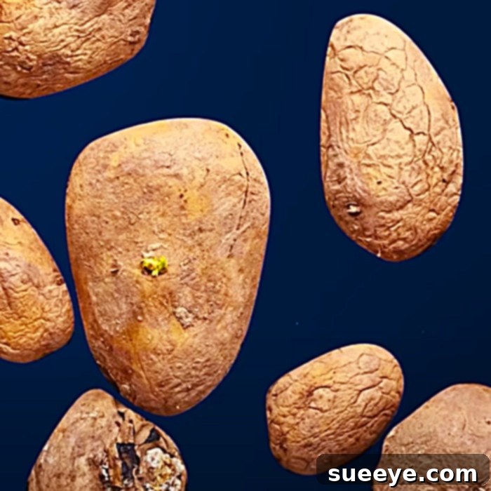 How To Store Food Properly - How To Store Potatoes - How To Store Tomatoes
