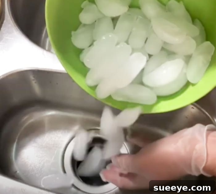 Eradicate Garbage Disposal Odors 2 Easy Ways To Clean Garbage Disposal - Use Ice To Clean Sink Smell