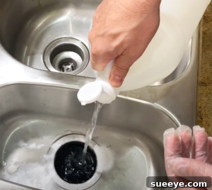 Eradicate Garbage Disposal Odors 3 Fix smelly Garbage disposal - How to Eliminate Sink Odors - Kitchen Cleaning Tips and Hacks