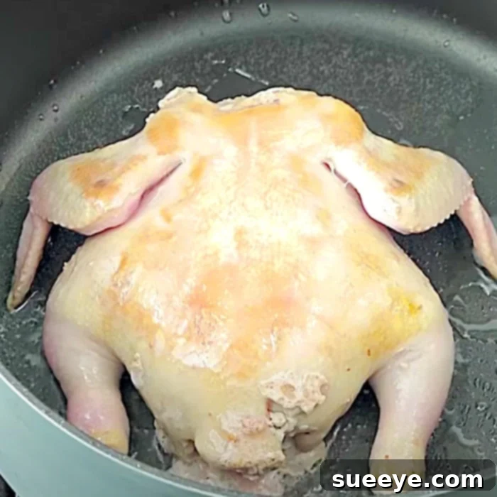 Zesty Sprite Braised Chicken 2 Easy Chicken Recipe - Whole Chicken Recipe - Chicken With Sprite Recipe