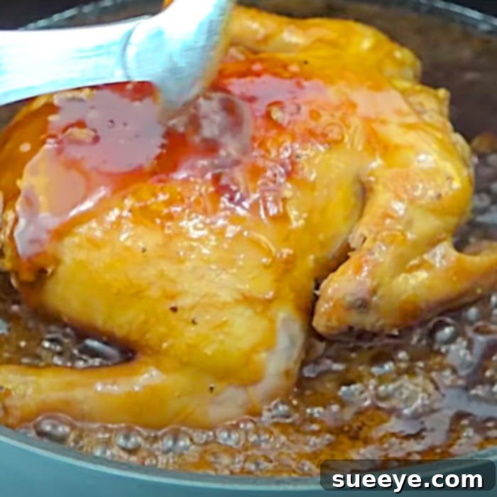 Zesty Sprite Braised Chicken 3 Braised Sprite Chicken - How To Make A Sprite Chicken - Easy Chicken Ideas