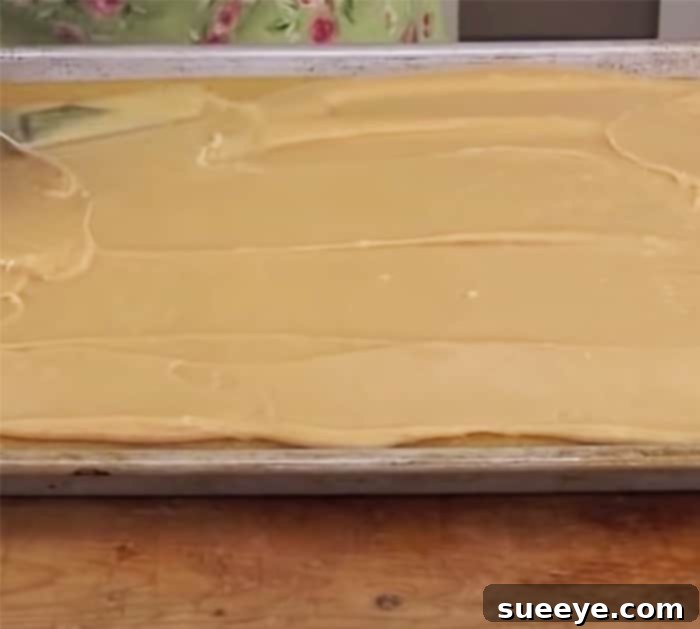Ultimate Peanut Butter Texas Sheet Cake 3 Homemade Peanut Butter Cake - Peanut Butter Dessert Ideas - PB Cake Recipes