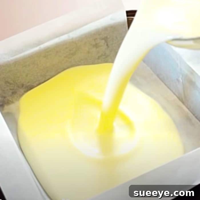 Easy Homemade Ice Cream - How To Make Ice Cream Bars - Ice Cream Snack Recipe