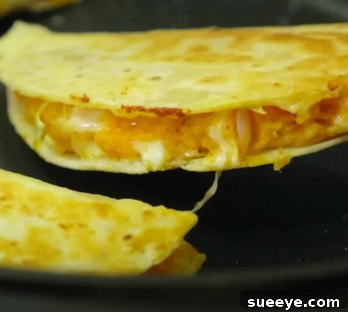 Crispy Potato Quesadilla - Cheesy Potato Tacos Recipe - Mashed Potato Quesadilla Recipe