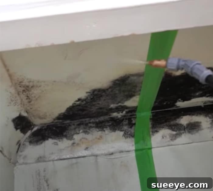 Conquering Mold: Your Guide to Permanent Removal 2 DIY Mold Removal: Bleach vs. Vinegar Comparison on Walls and Ceilings